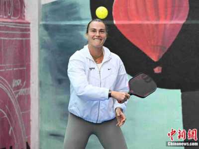 欧博abg樊振东、容祖儿都在玩，匹克球是个什么球？